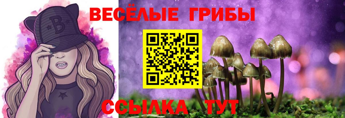 Галлюциногенные грибы мицелий Моздок