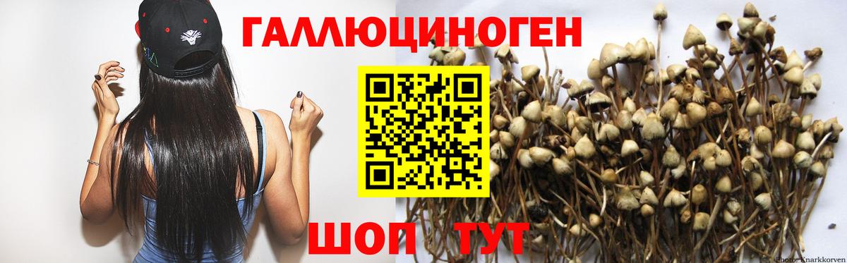 Моздок  Галлюциногенные грибы MAGIC MUSHROOMS  Вход с VPN  Псилоцибиновые грибы Psilocybe 